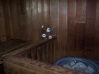 Barnaby in the Sauna - click for full size image